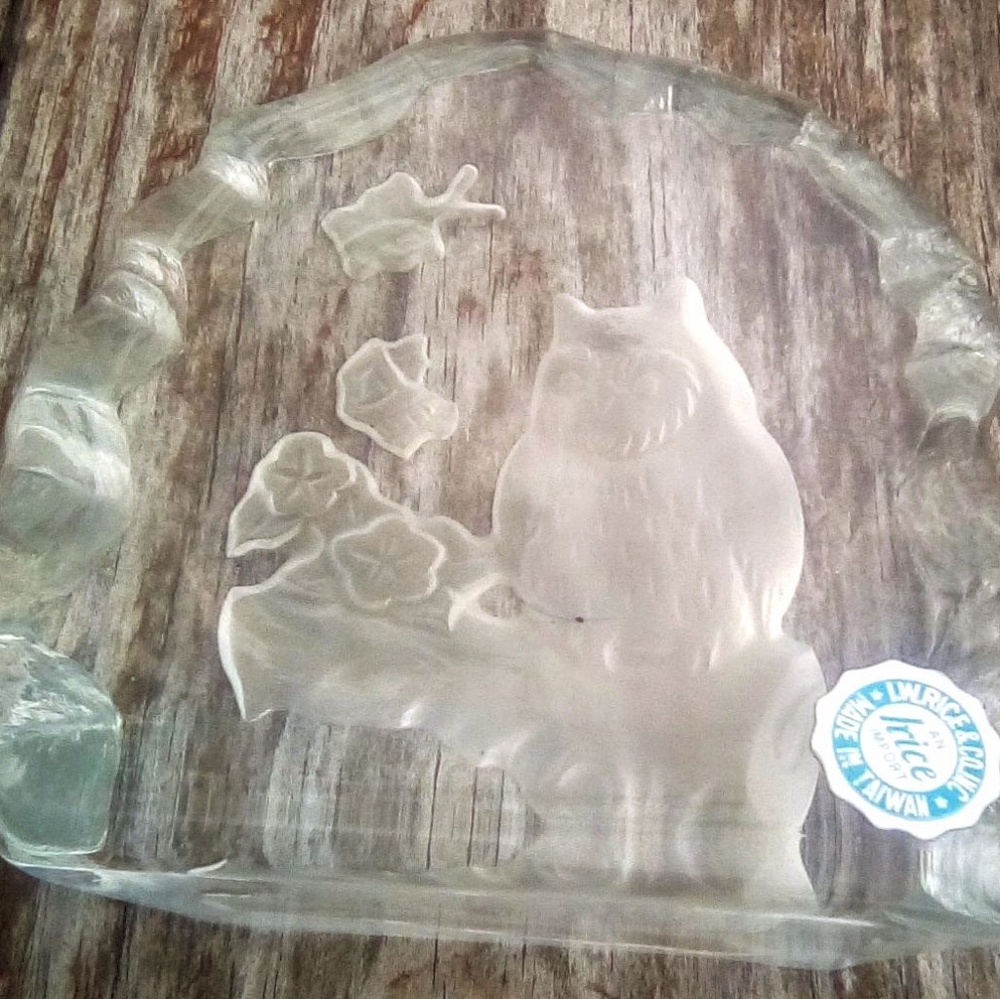 Vintage 1970s Irice Owl Frosted Glass Paperweight - Collectible Decor